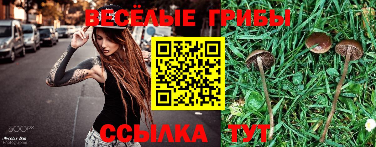 Псилоцибиновые грибы мухоморы  Вход с VPN  Калининград 